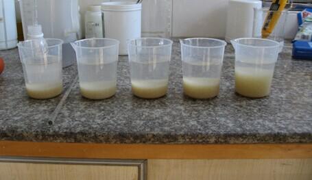 复合碱和片碱对比实验组